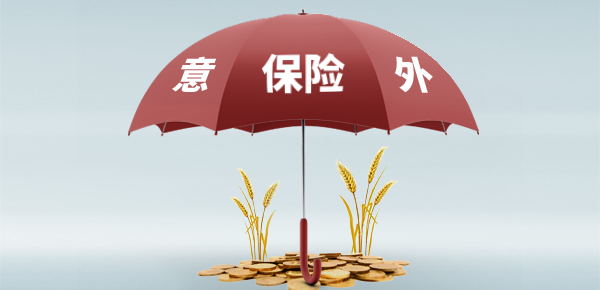 保险保障